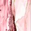 Pink Marble