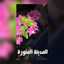 رباب عثمان...