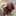 Devon Leasure Devon Leasure