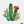 Cactaceae
