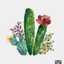 Cactaceae