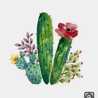 Cactaceae