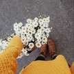 amnah