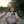 ครัวอีเม อร่อยทุกอย่าง