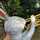 Arabbit