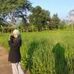 Dian Aryany