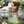 Lydia Restless Heart