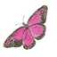 Arely 
