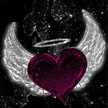 🌹🌹زهره اللوتس🌹🌹