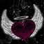 🌹🌹زهره اللوتس🌹🌹