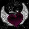 🌹🌹زهره اللوتس🌹🌹