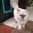ikbeneenman