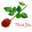 فاتن 