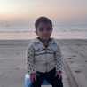 Elham Fathi Elham Fathi