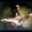 Jose Chavez