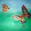 Mar De Mariposa 