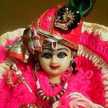 Aashi Singla