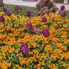 Rini Rohmatika