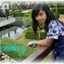 dhewhy emiliyana