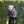 rikamerika