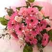 Alaa Sy