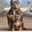 Jaime Arenas Jaime Arenas