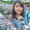 บี เบิร์ด นก