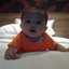 Winda Rahayu
