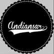 andi ansar arief06
