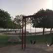 دانه المطيري