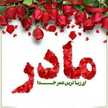 سهیلا مجتهدی