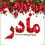 سهیلا مجتهدی