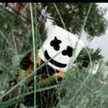 Alif Firmansyah