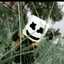 Alif Firmansyah