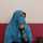 Annisa_Ulfah Annisa_Ulfah