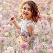 Areej Fatima