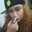 Monna LaRoz