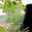 A Mosavi