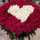 Asmaa Tamer Asmaa Tamer