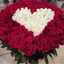 Asmaa Tamer