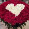 Asmaa Tamer Asmaa Tamer