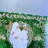 Umma Fatih 