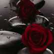 refaal