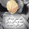  ام عماد الدين