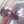 waleed