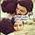 💕 Hadeel 💕 💕 Hadeel 💕