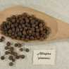 pimento pimento