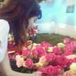 Stefi Loredo