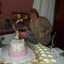 Susy 