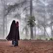 Herawaty Dahri